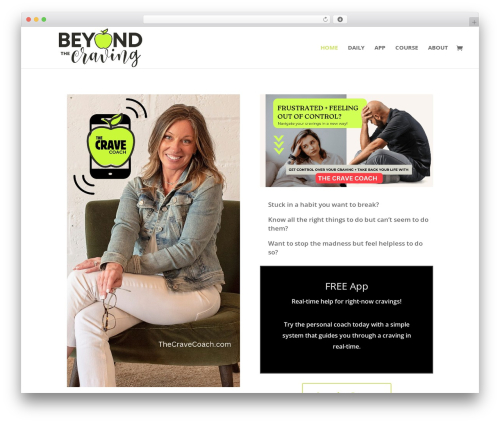 Ds icon expansion pack WordPress plugin - beyondthecraving.com