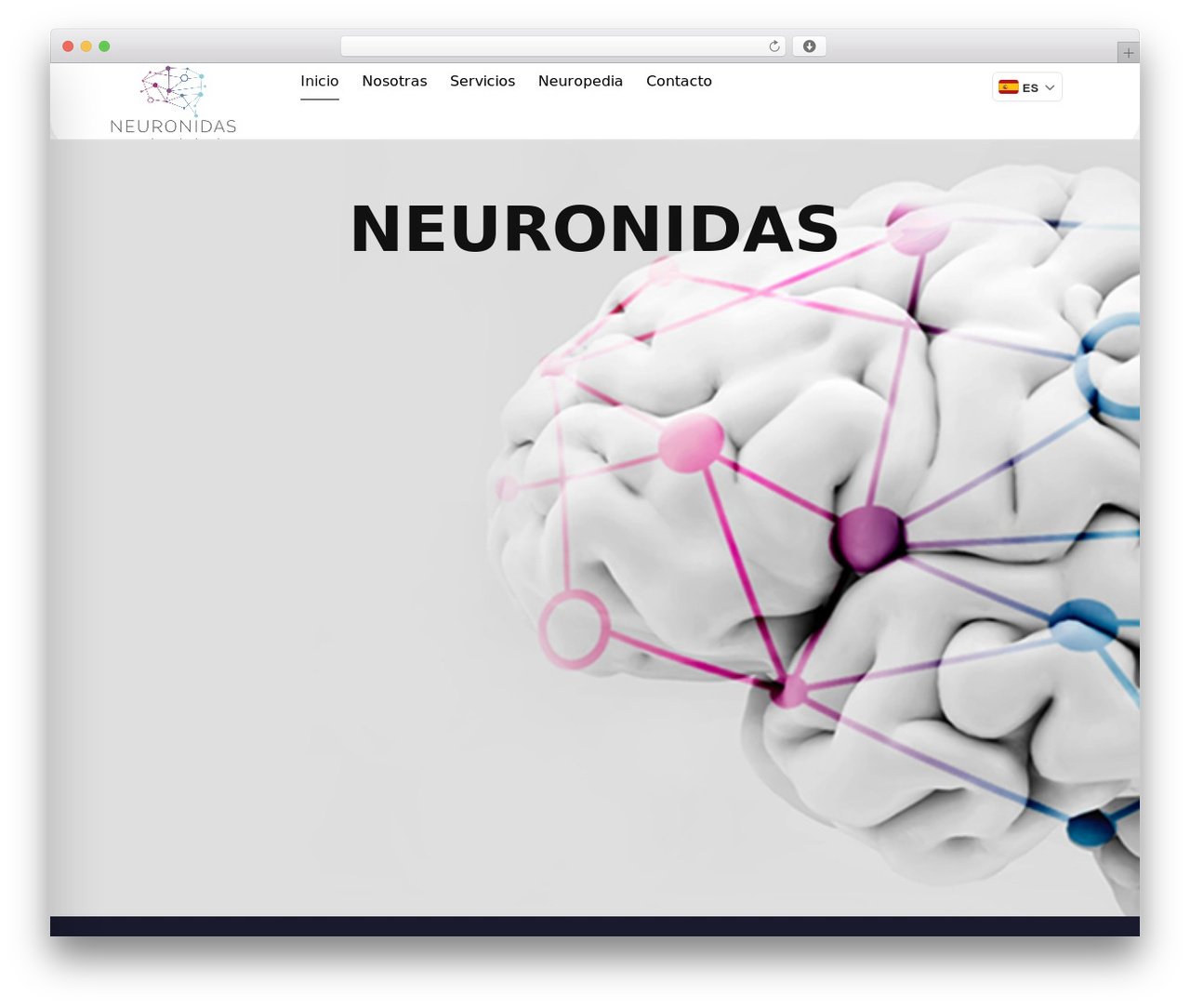 Hello Elementor WordPress page theme - neuronidas.com