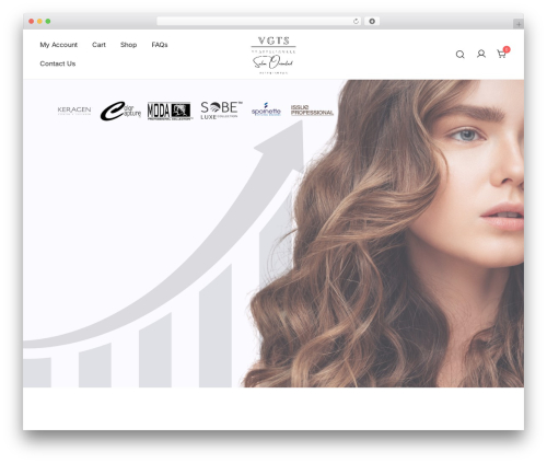 Merchant WordPress plugin - vgtspro.store