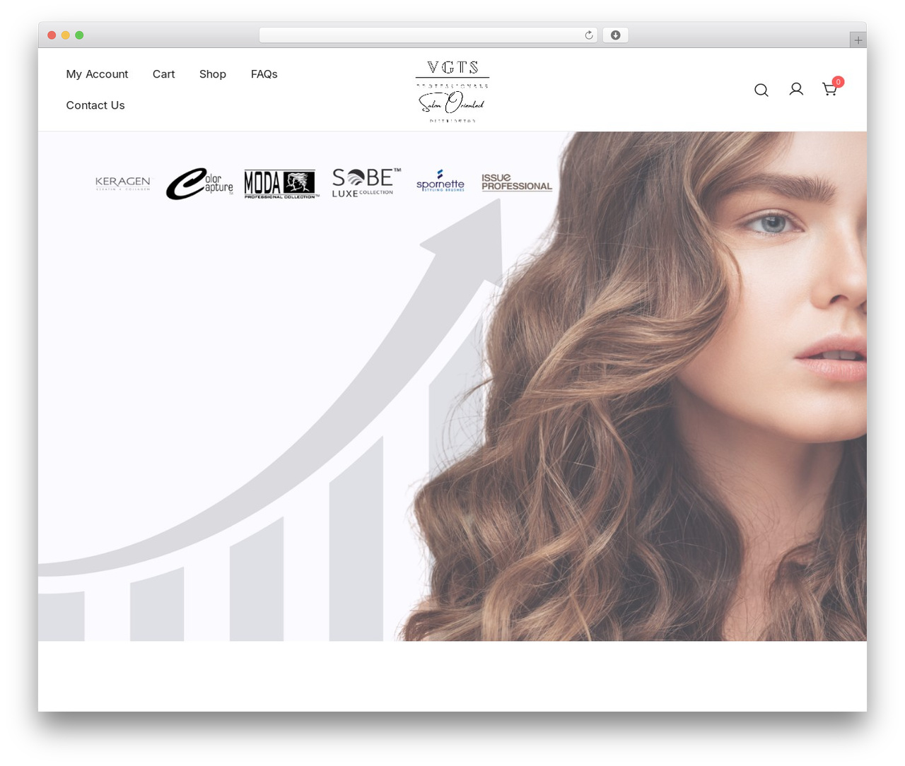 Theme WordPress Botiga - vgtspro.store Theme WordPress Botiga - vgtspro.store