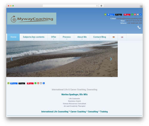 WP-Font-Resizer (wp-font-resizer) free WordPress plugin - mywaycoaching.com