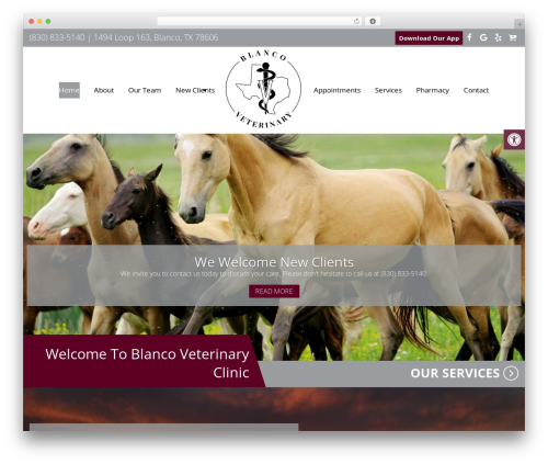 Theme WordPress Parent Theme - blancovet.com