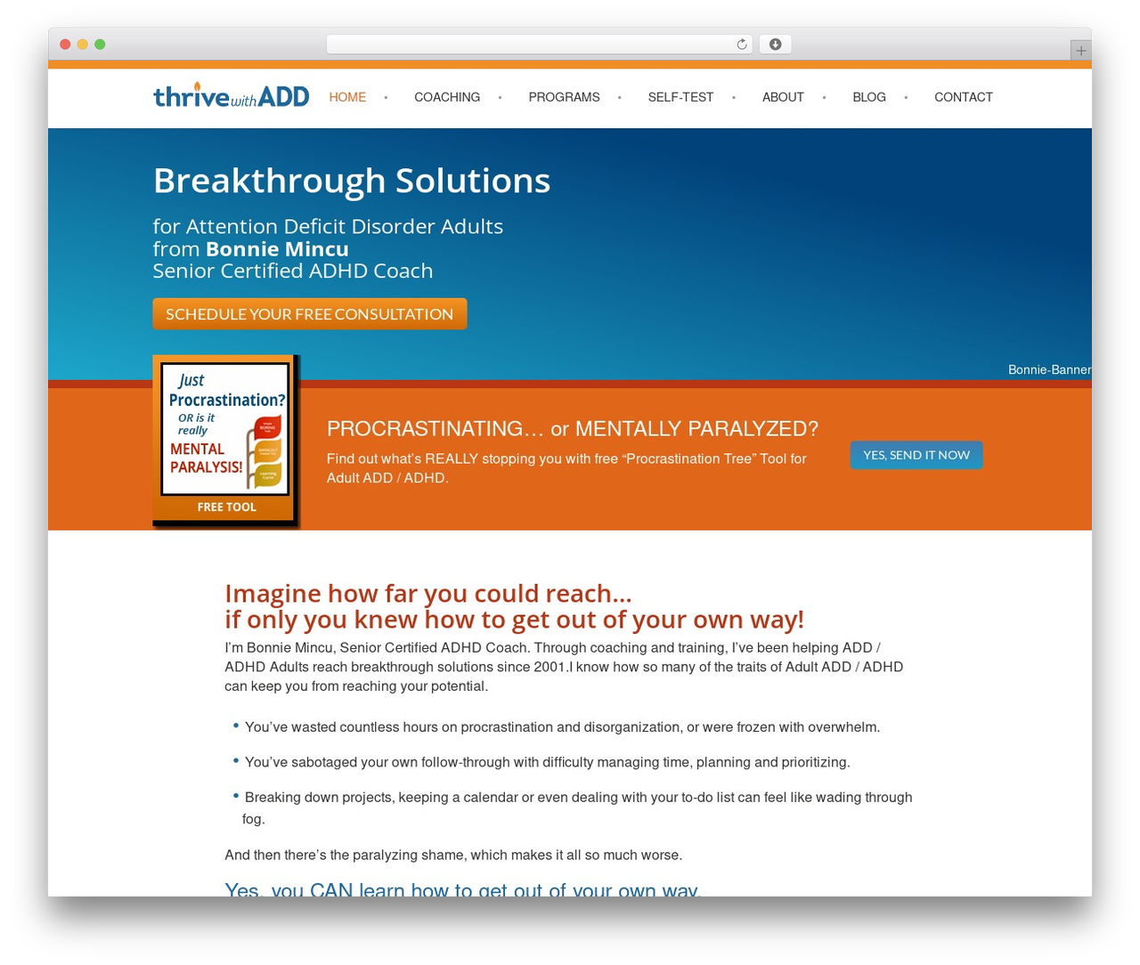 Thrive with ADD theme WordPress - thrivewithadd.com Thrive with ADD theme WordPress - thrivewithadd.com