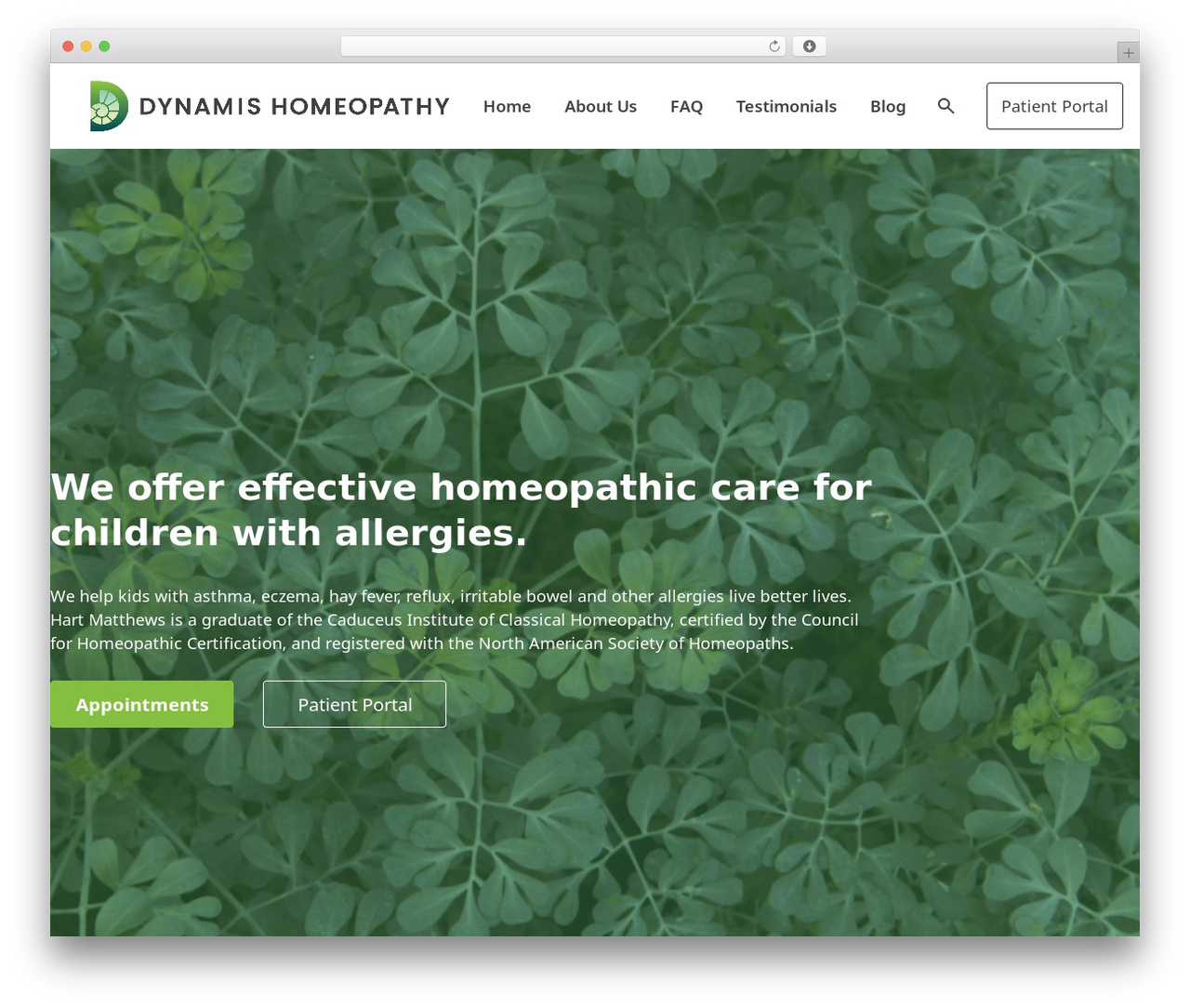WordPress theme HoverCraft - dynamis-homeopathy.com