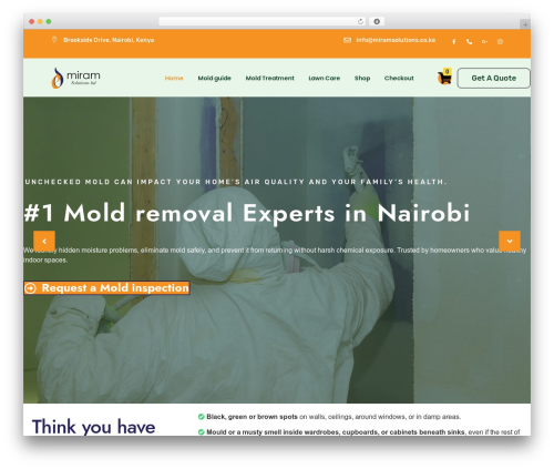 WooCommerce M-PESA Payment Gateway (woo-m-pesa-payment-gateway) free WordPress plugin - miramsolutions.co.ke