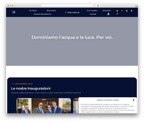 Dlm pro WordPress plugin - barcella.it