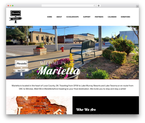 Cv monitor WordPress plugin - mariettamainstreet.com
