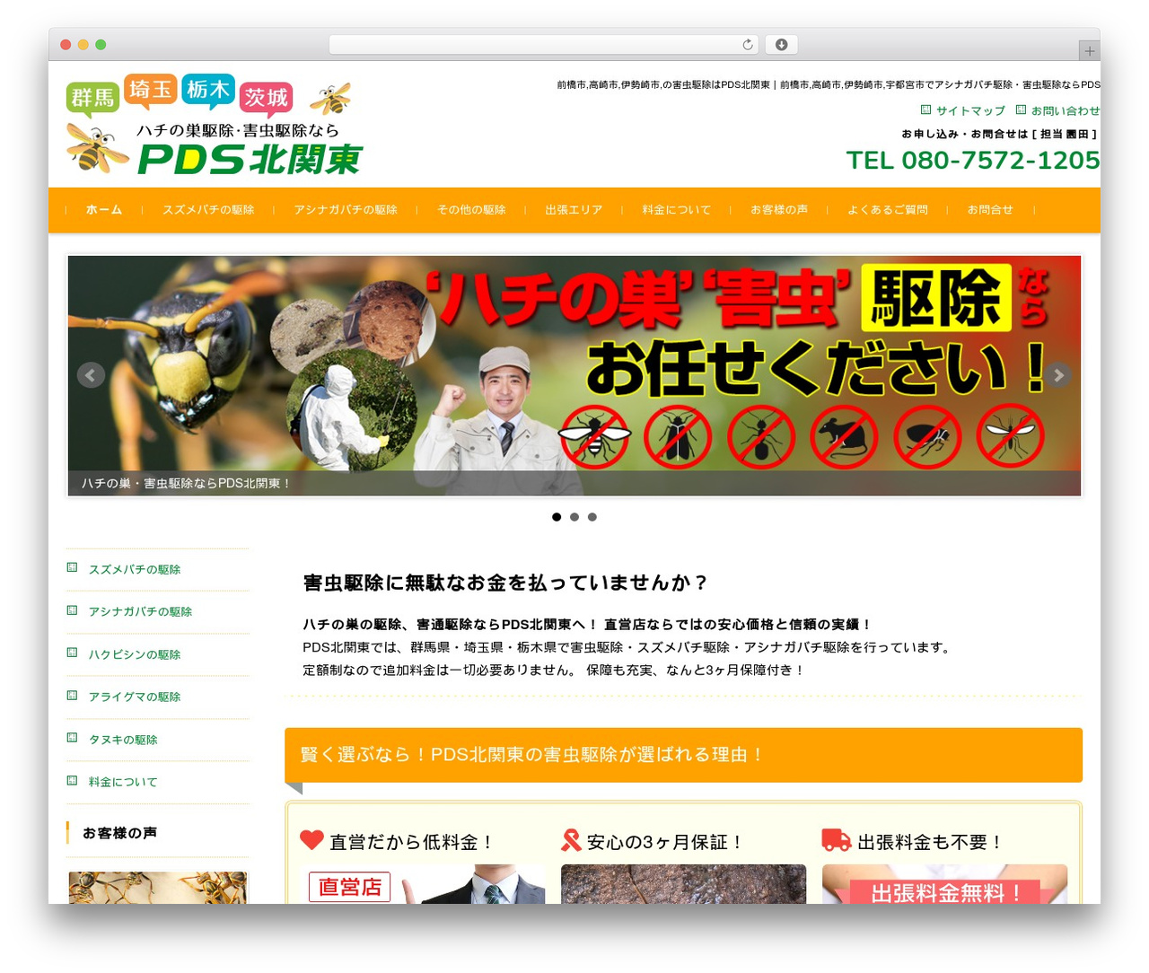 Theme WordPress FSVBASIC - pest-buster.net Theme WordPress FSVBASIC - pest-buster.net