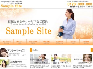 theme243 WordPress theme