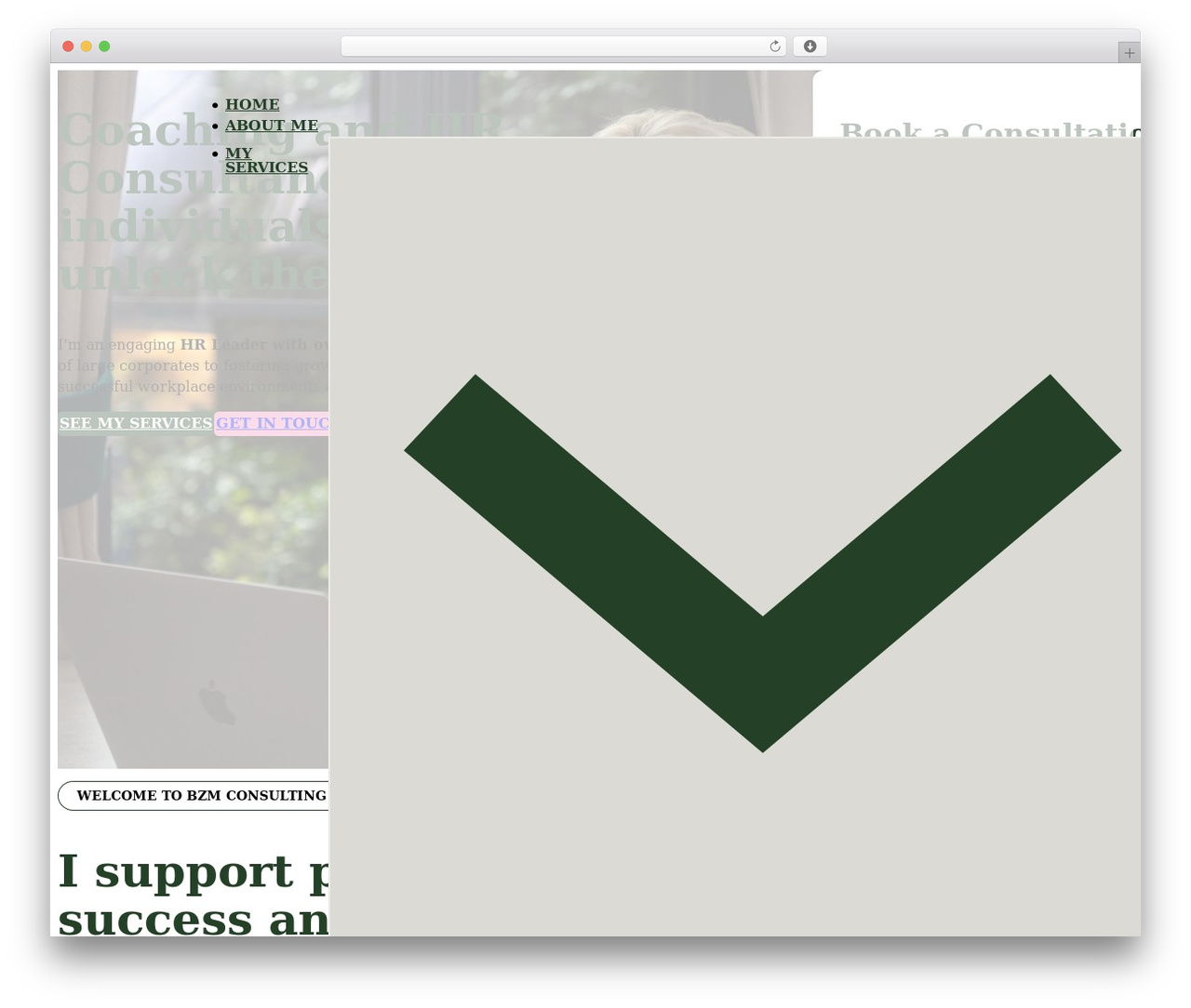 WordPress theme Bricks - bzmconsult.com WordPress theme Bricks - bzmconsult.com