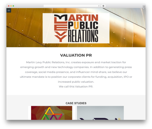 Branded WordPress theme - martinlevypr.com