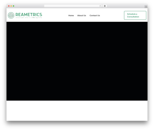 Finest core WordPress plugin - reametrics.com