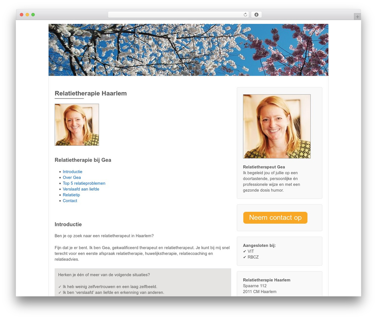 Theme WordPress Responsive Pro - relatietherapie-haarlem.com