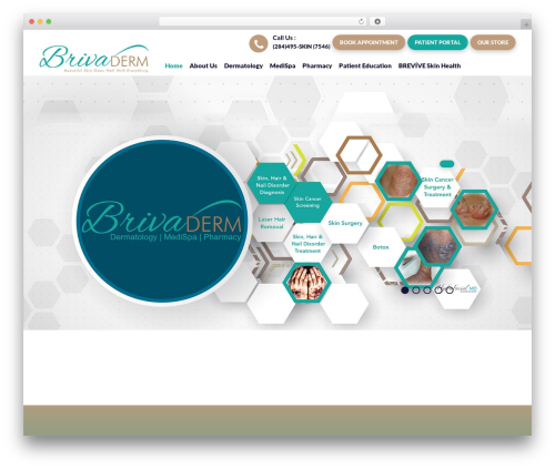 WordPress theme Brivaderm - brivaderm.com