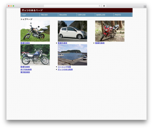 ガッツのあるページ WordPress page theme - with-guts.com