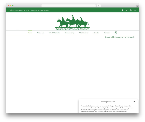Special recent posts pro WordPress plugin - wvstables.com