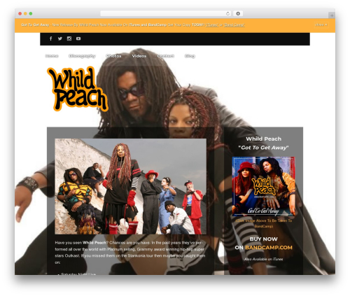 Flycase WordPress theme - whildpeach.com