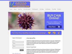 Template Much Random WordPress theme by BigTunaWeb