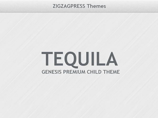 Tequila WP theme by zigzagpress