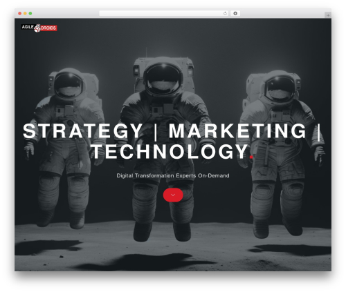 WordPress theme Comet WP - agiledroids.com