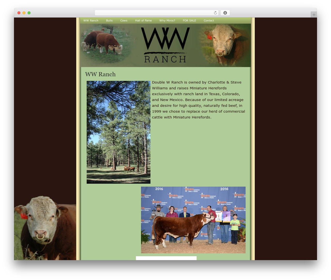 WordPress theme SoftGreen - ww-ranch.com WordPress theme SoftGreen - ww-ranch.com