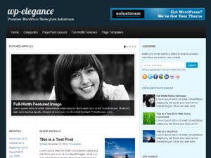 WordPress website theme WP-Elegance WordPress website theme WP-Elegance