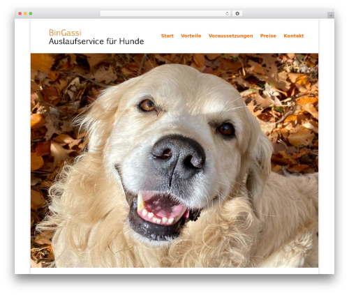 Sawebsolution divi accordion WordPress plugin - bingassi.de