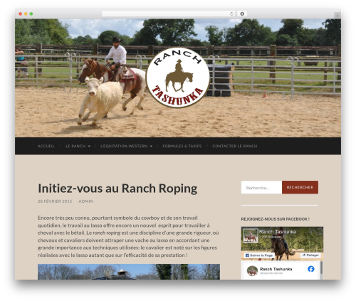 Hemingway WordPress template free download - ranch-tashunka.fr