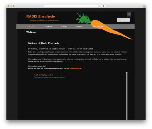 Radix WordPress theme design - radixenschede.nl