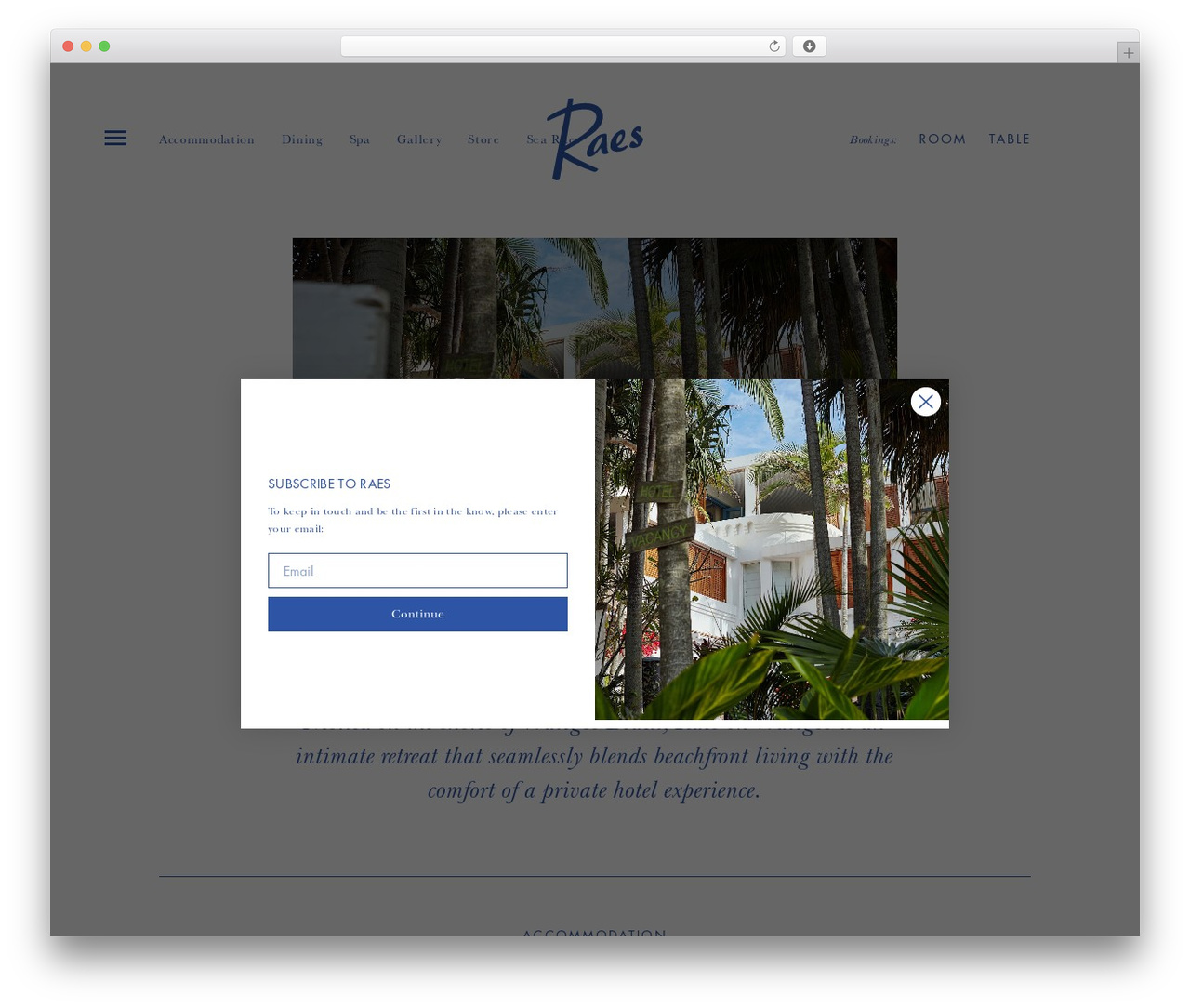 Raes theme WordPress - raes.com.au Raes theme WordPress - raes.com.au