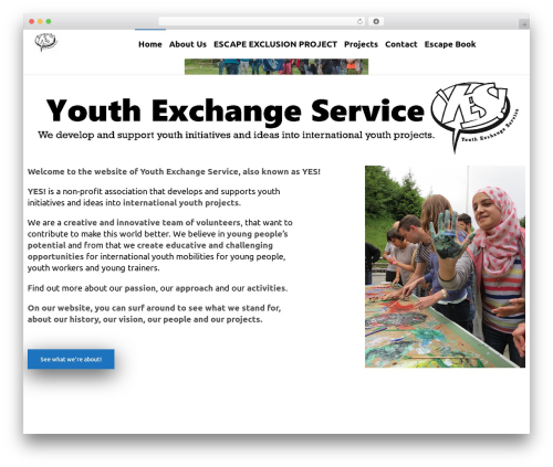 Dfd extensions WordPress plugin - yesnow.nl