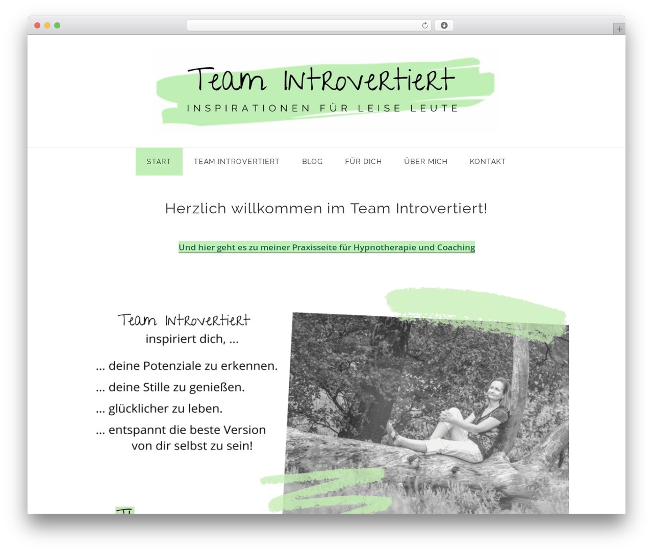 WordPress theme Genesis - teamintrovertiert.de WordPress theme Genesis - teamintrovertiert.de