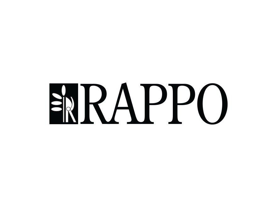 WordPress theme Rappo by TEAM99