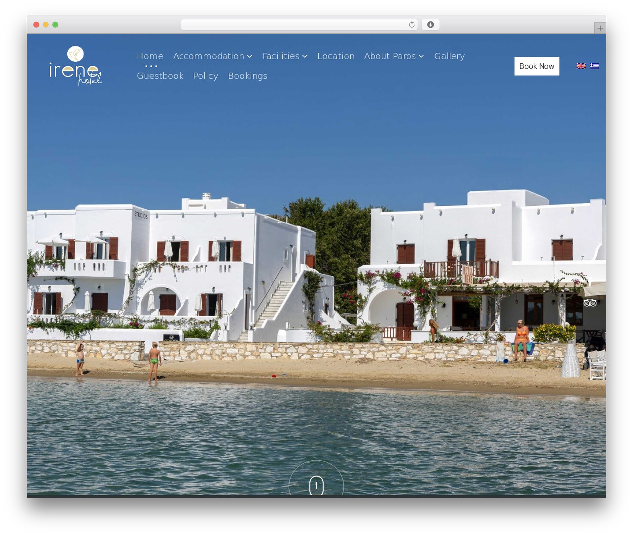 WordPress website theme Codibee Theme - hotelirene.gr WordPress website theme Codibee Theme - hotelirene.gr