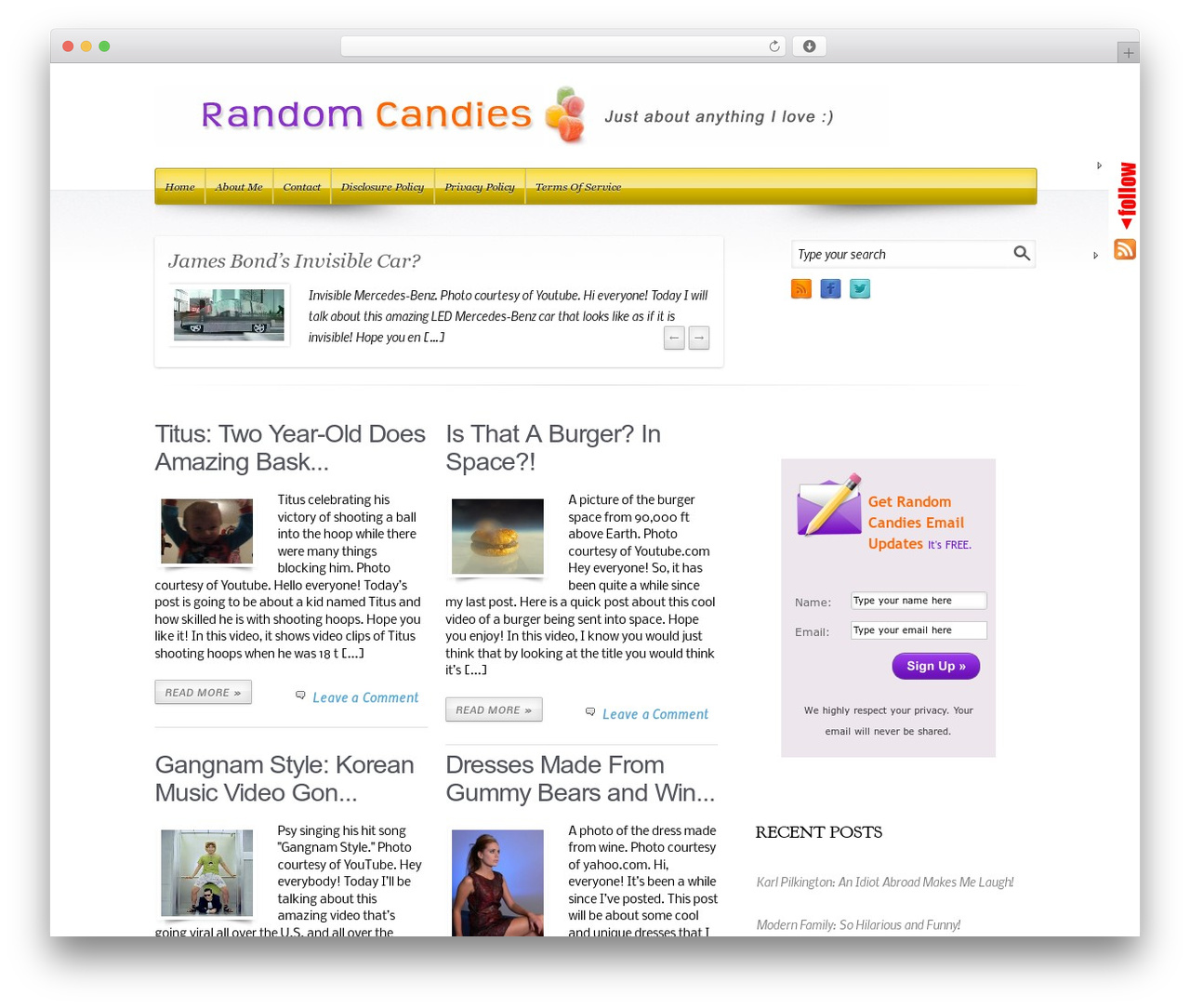 EvoLve WordPress theme download - randomcandies.com