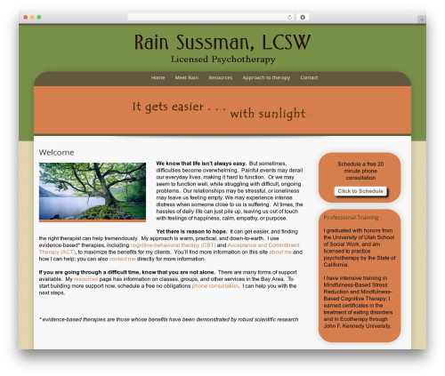 Preference Lite theme WordPress - rainsussman.com
