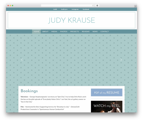 Theme WordPress Responsive by Kyle - judykrause.com