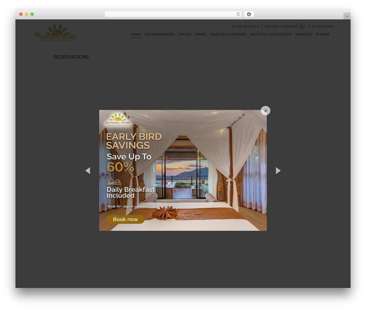 Theme WordPress wcl - aonangfiore.com