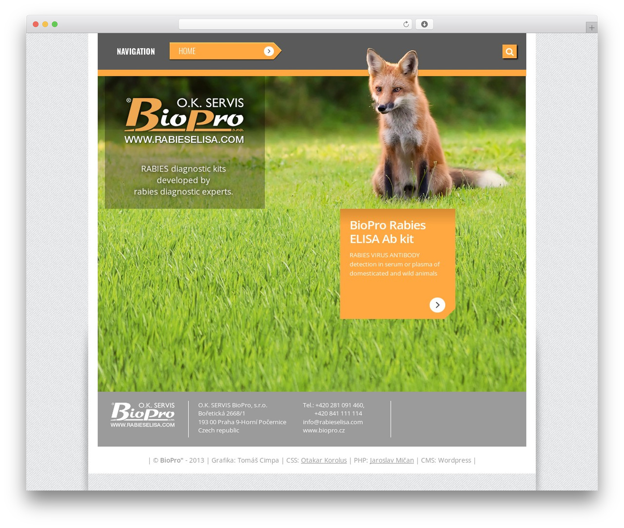 WordPress theme rabieselisa.com - rabieselisa.com