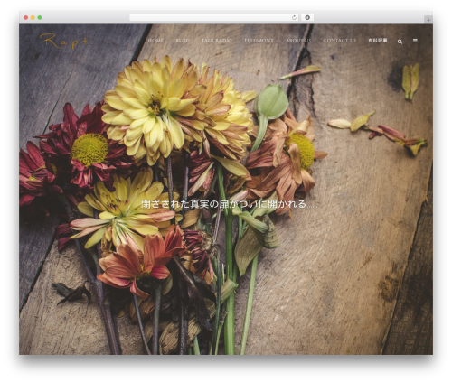 Formzu WP (formzu-wp) free WordPress plugin - rapt-neo.com Formzu WP (formzu-wp) free WordPress plugin - rapt-neo.com
