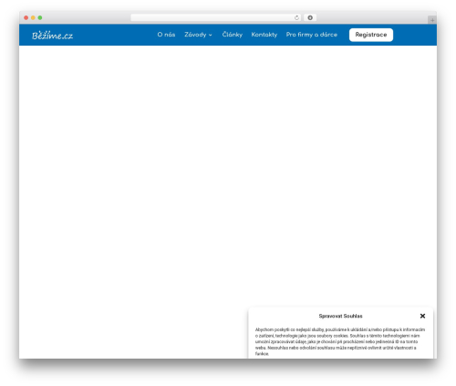 Divi WordPress theme - bezime.cz