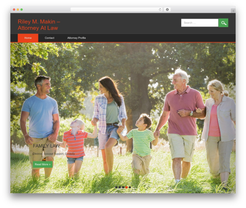 DK Responsive WordPress theme - rileymakin.com