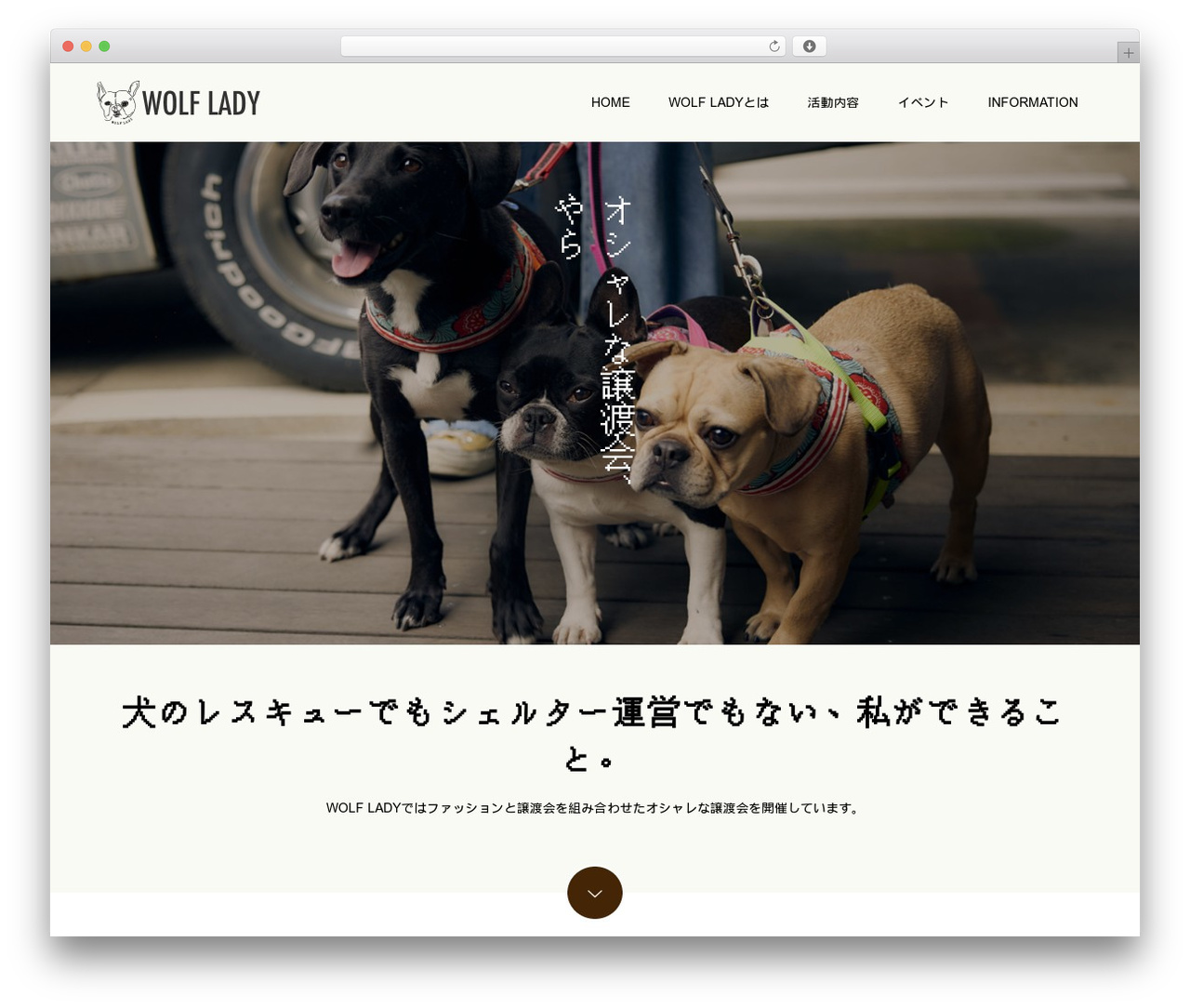 Switch WordPress theme - wolf-lady.com Switch WordPress theme - wolf-lady.com