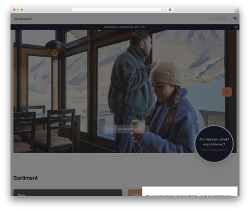 WordPress theme WebKinder Starter Theme - fairdinand.ch
