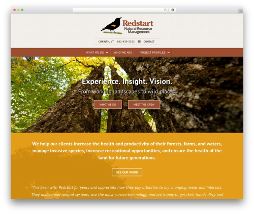 WordPress theme Redstart - redstartconsulting.com