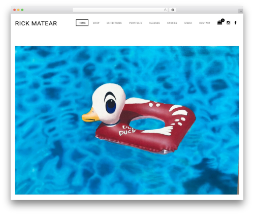 Vc_addons WordPress plugin - rickmatear.com