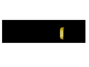 WP theme Timios Development