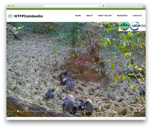 Benevolent theme WordPress - ntfp-cambodia.org