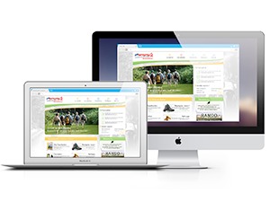 Coderando 77 theme WordPress by Agence Fluence