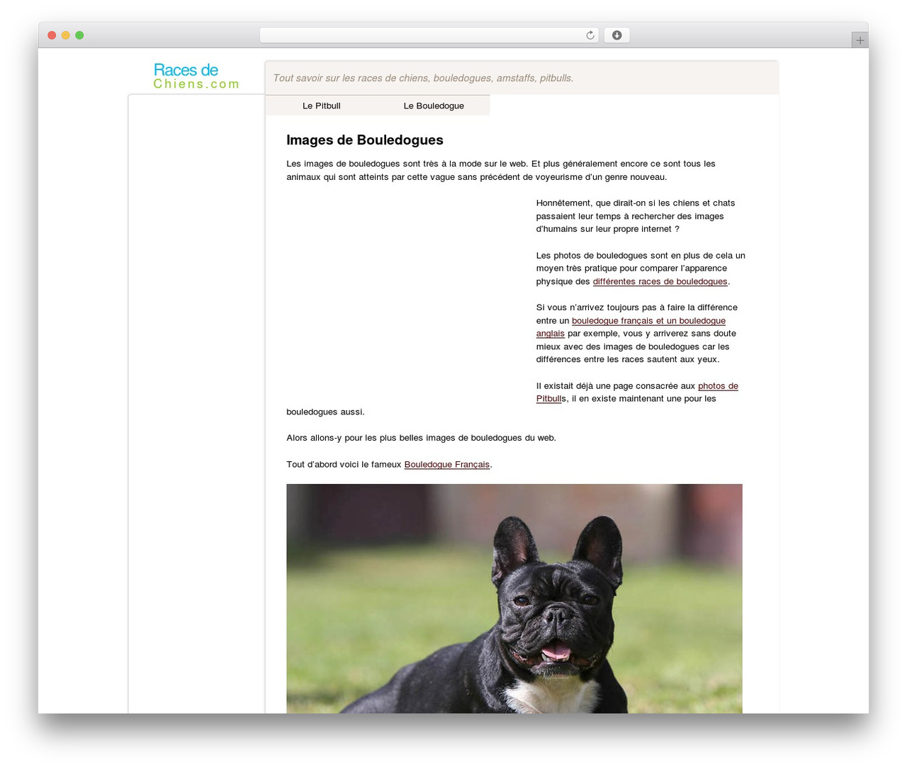 CTR Theme WordPress theme image - racesdechiens.com CTR Theme WordPress theme image - racesdechiens.com